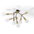 ARTEMIA DA SOFFITTO