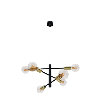 ARTEMIA A SOSPENSIONE