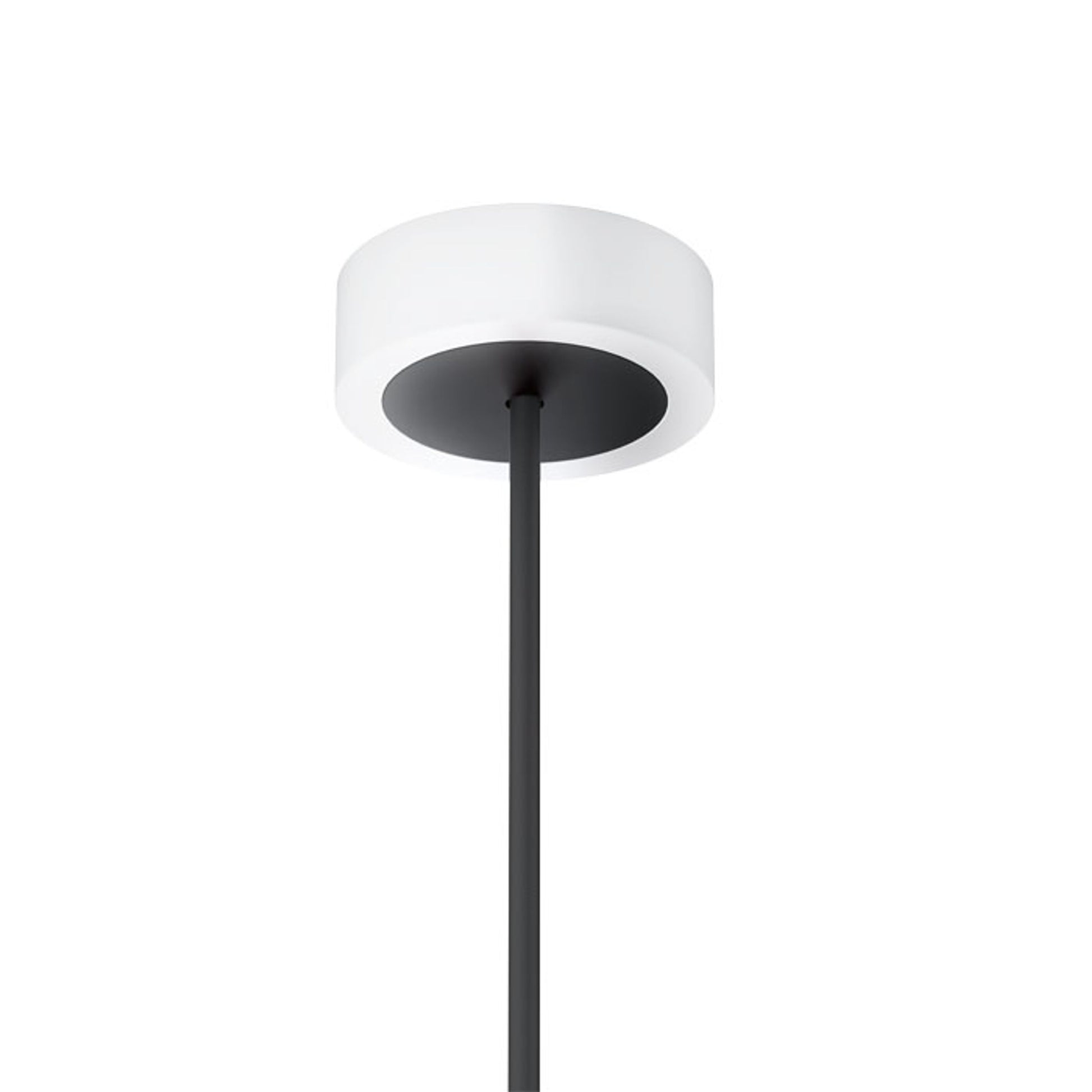 RENDL shades, shade bases, pendent sets HEX pendant set WB+BC+CHF+BC1   230V LED E27 15W R11927 3