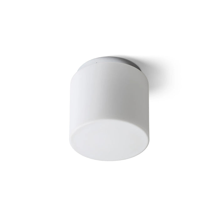 RENDL surface mounted lamp ARANA R 17 ceiling  opal-colored glass/chrome 230V LED E27 11W IP44 R13682 2