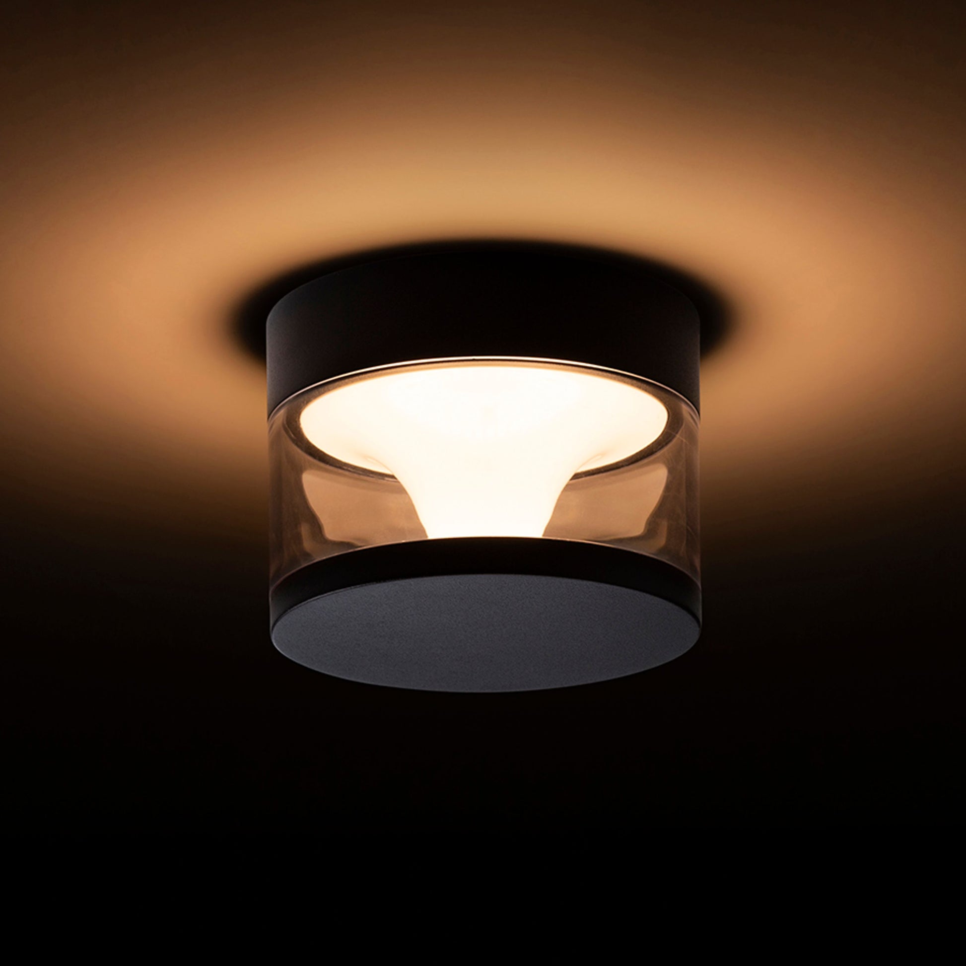 RENDL outdoor lamp BRENDA surface mounted black  230V LED LED 9W IP65  3000K R14202 2