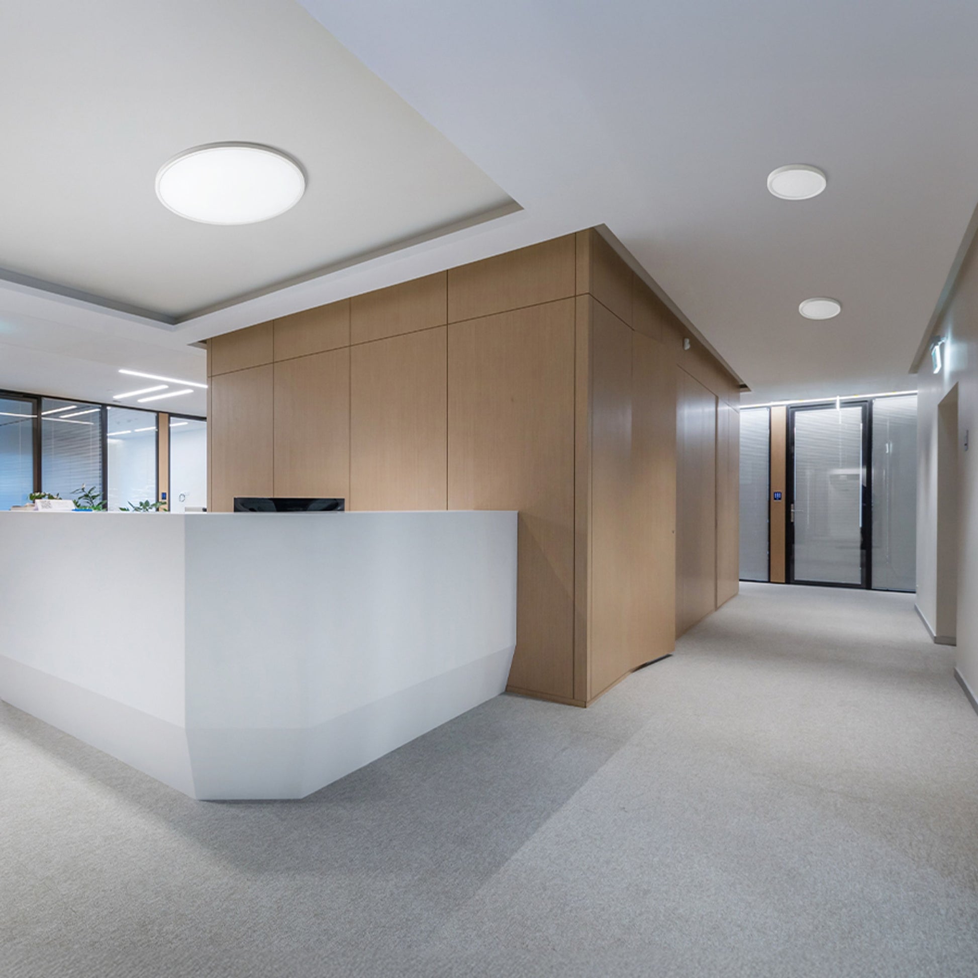 RENDL surface mounted lamp LANA 60 surface mounted white plastic 230V LED 50W 3000K 4000K 6000K R14299 7