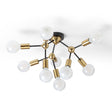 ARTEMIA DA SOFFITTO